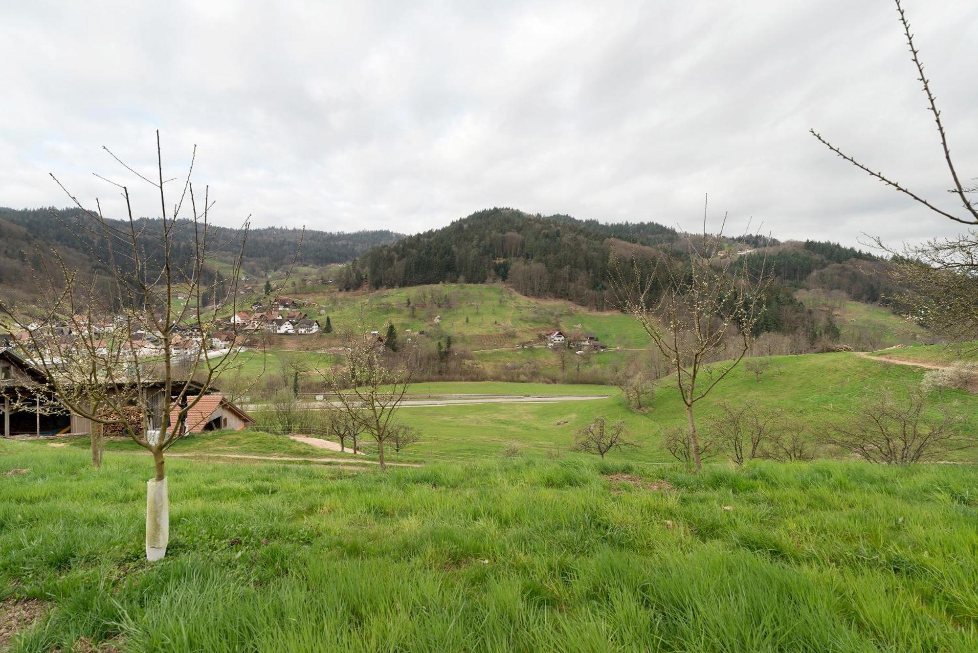 Ferienwohnung Haus am Schroffen Ottenhöfen im Schwarzwald Exterior foto