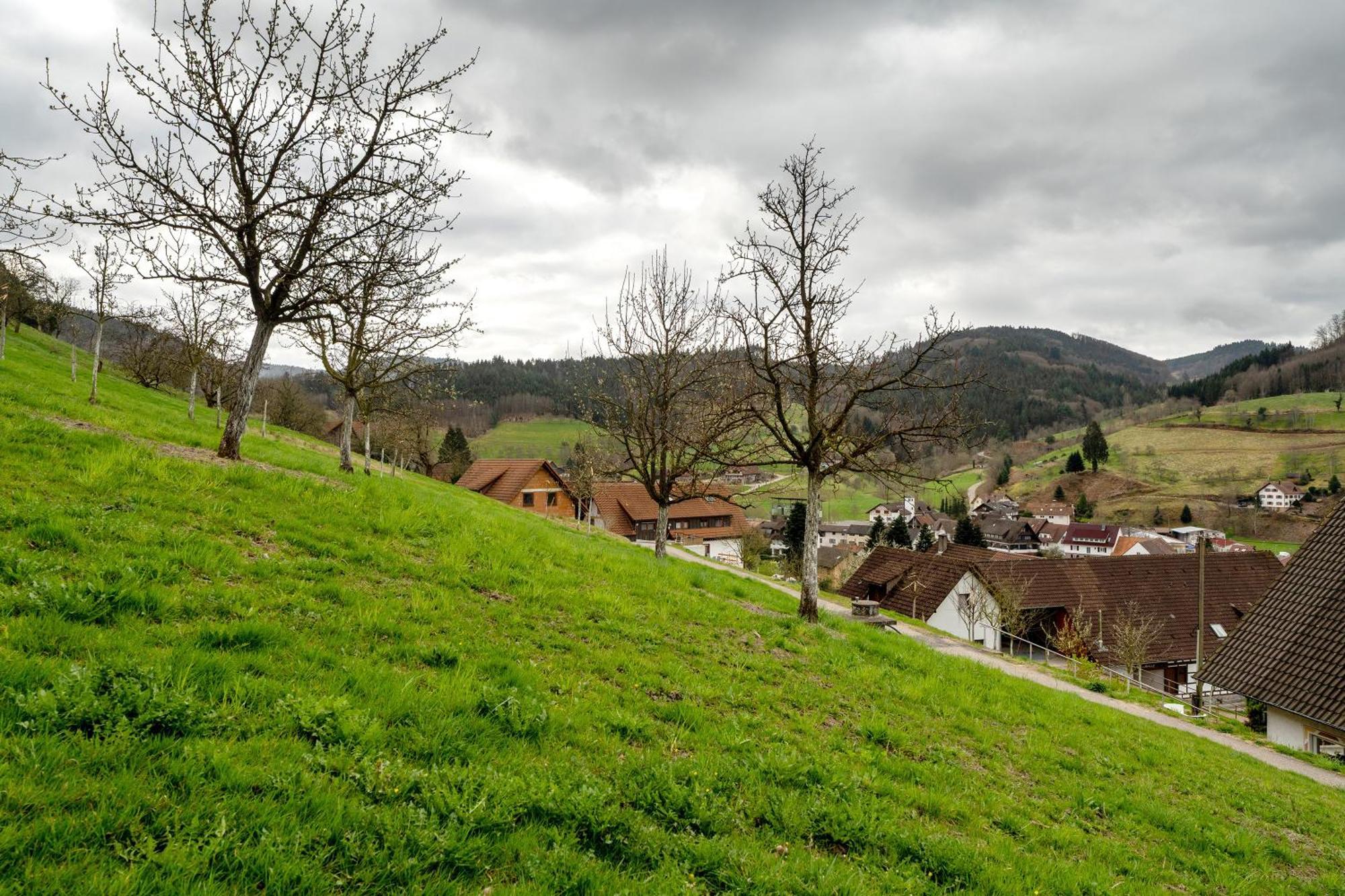 Ferienwohnung Haus am Schroffen Ottenhöfen im Schwarzwald Exterior foto